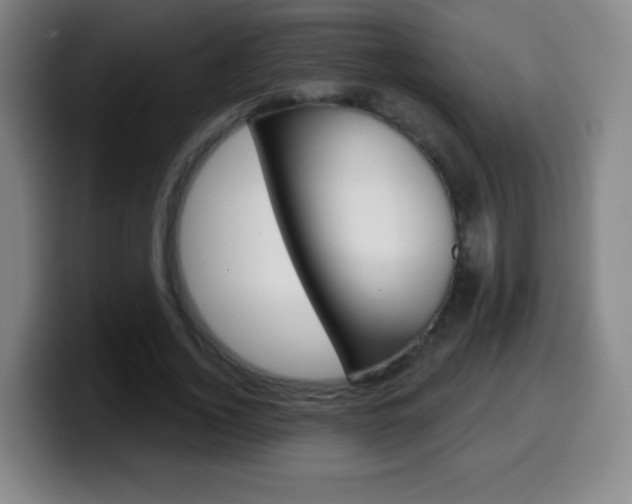 X0000099520732200805151032