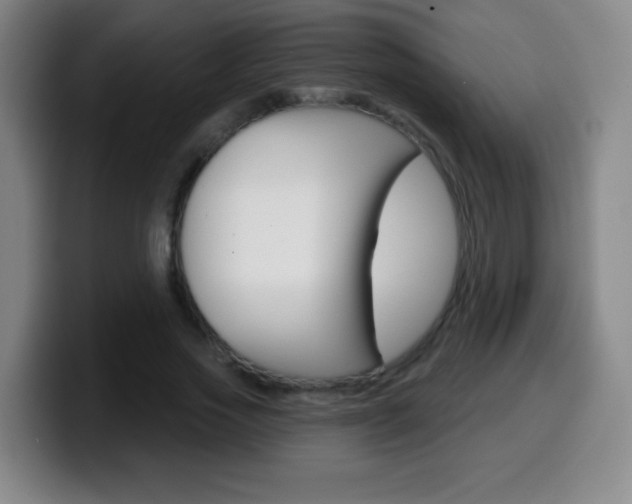 X0000099520733200805151032