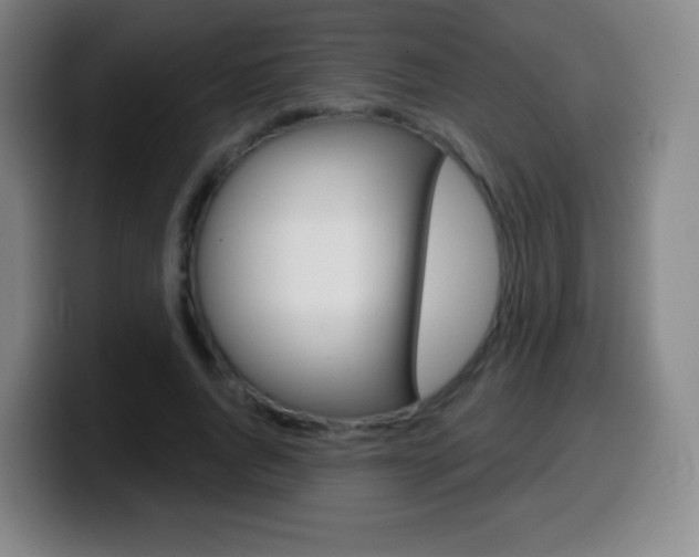 X0000099520736200805151032