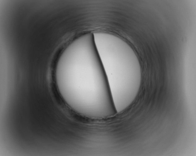 X0000099520738200805151032