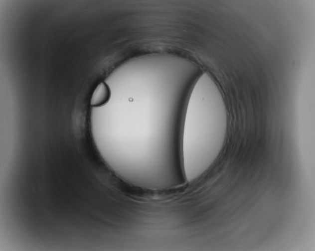X0000099520739200805151032
