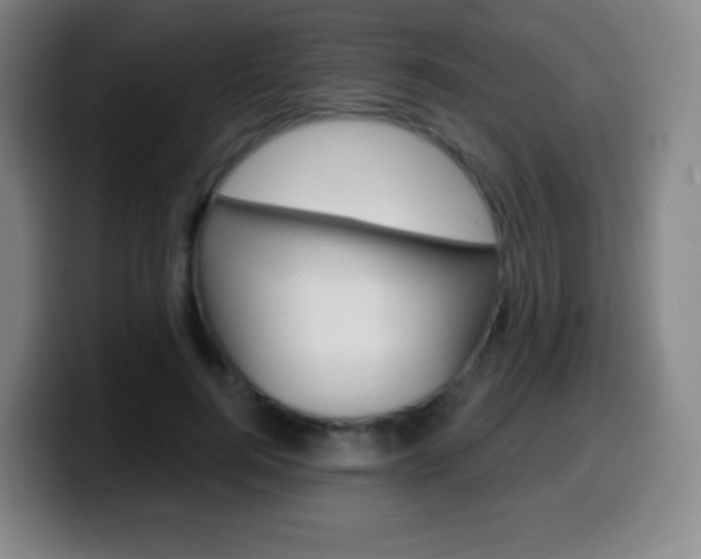X0000099520744200805151032