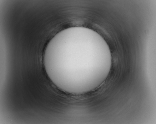 X0000099520745200805151032