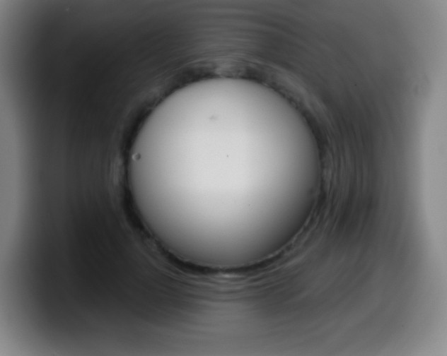 X0000099520748200805151032