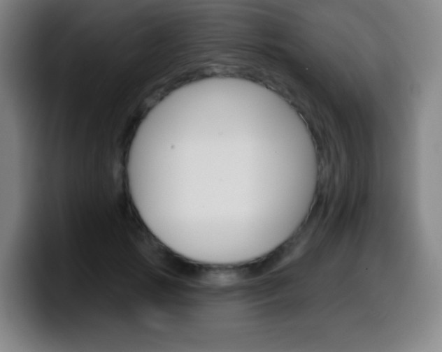 X0000099520749200805151032