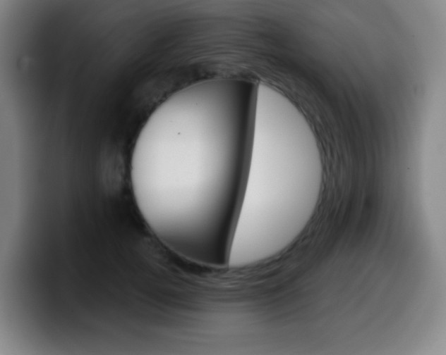 X0000099520752200805151032