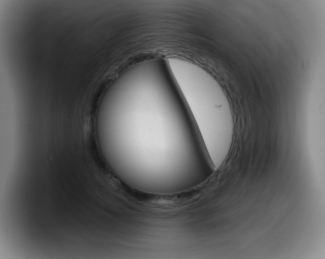 X0000099520756200805151032