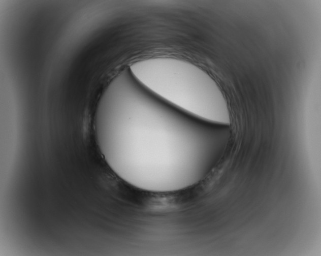 X0000099520760200805151032