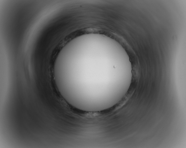 X0000099520762200805151032