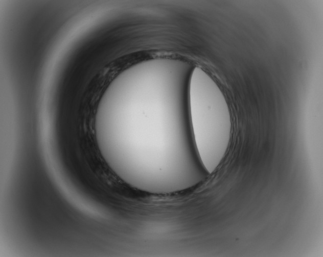 X0000099520763200805151032