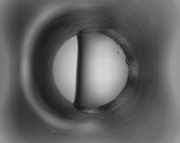 X0000099520764200805151032