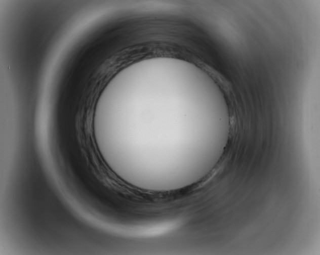 X0000099520765200805151032