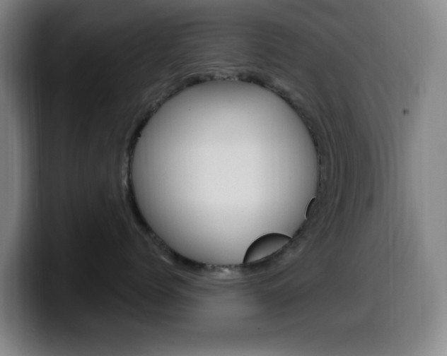 X0000099520768200805151032