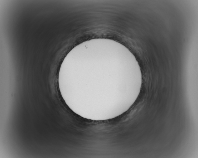X0000099520769200805151032