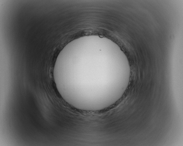 X0000099520770200805151032