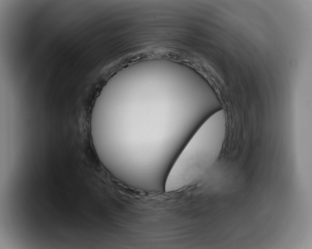 X0000099520773200805151032