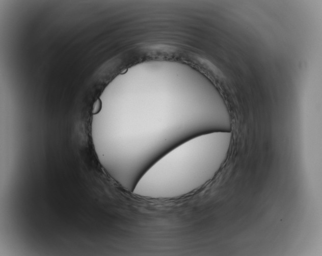 X0000099520774200805151032