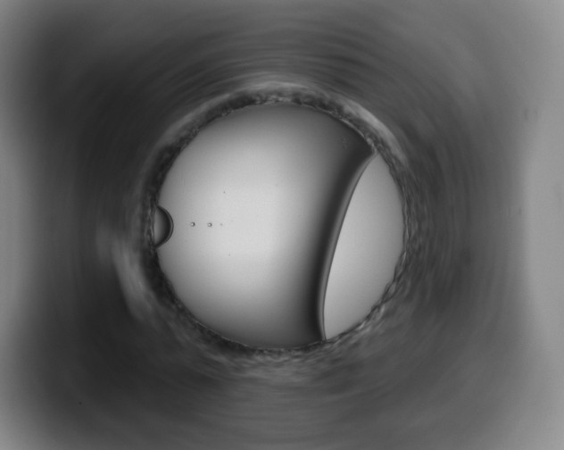 X0000099520775200805151032