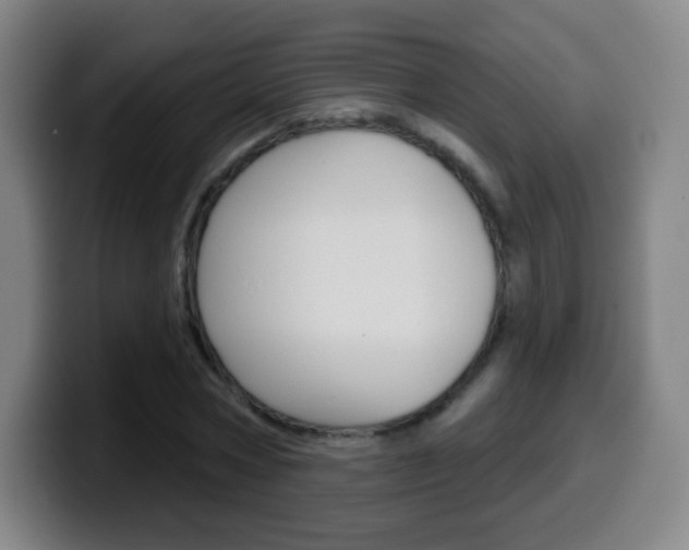 X0000099520778200805151032