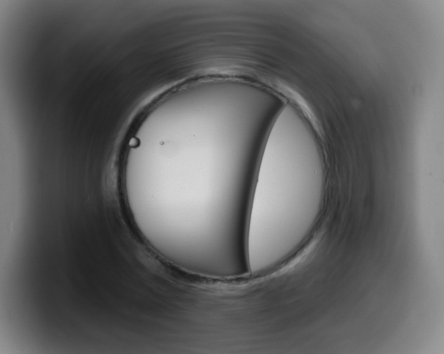 X0000099520779200805151032