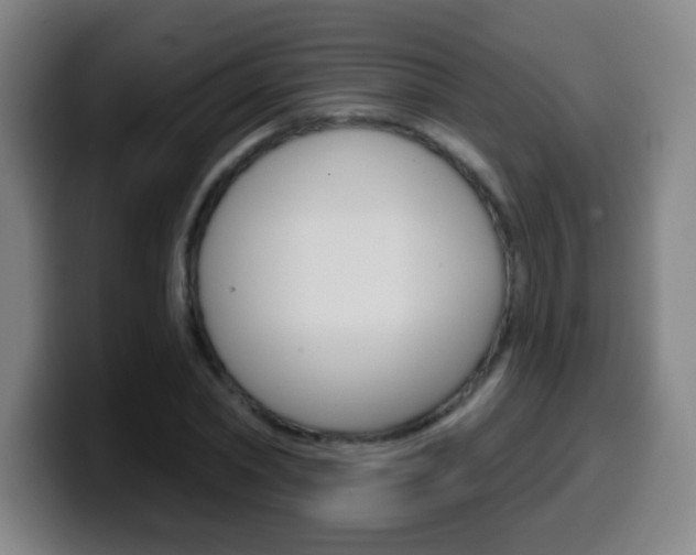 X0000099520782200805151032