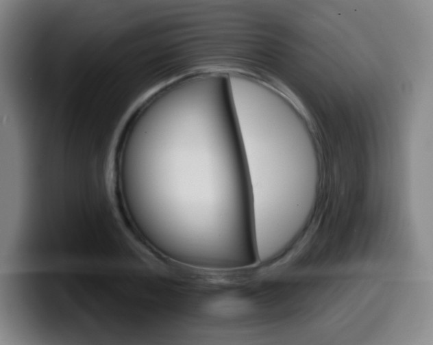 X0000099520787200805151031