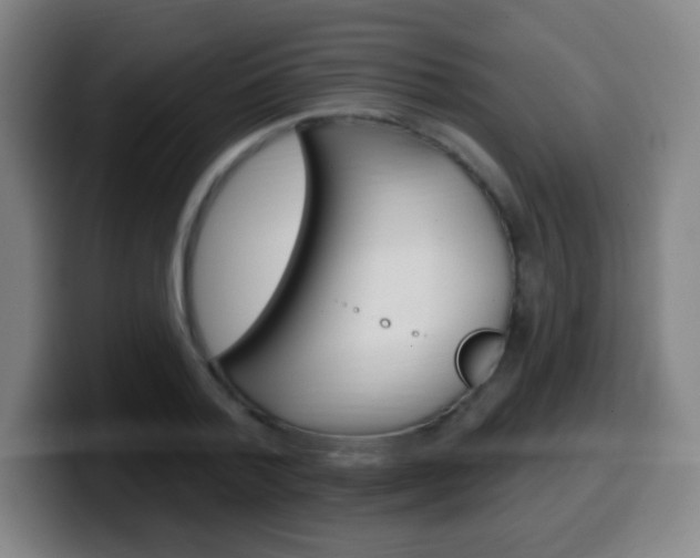 X0000099520788200805151031