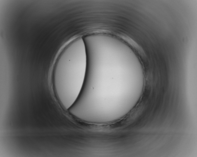 X0000099520790200805151031