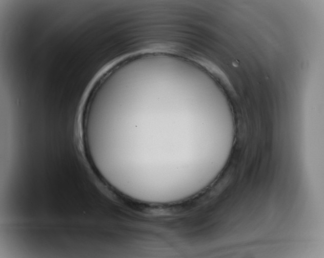 X0000099520792200805151031