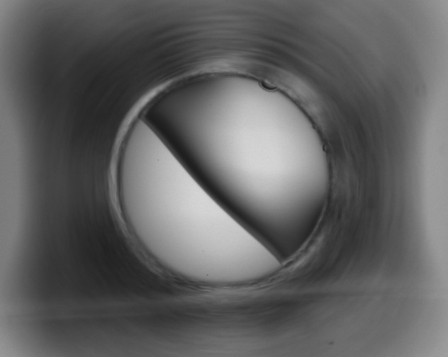 X0000099520796200805151031