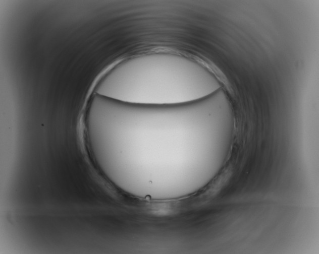 X0000099520798200805151031