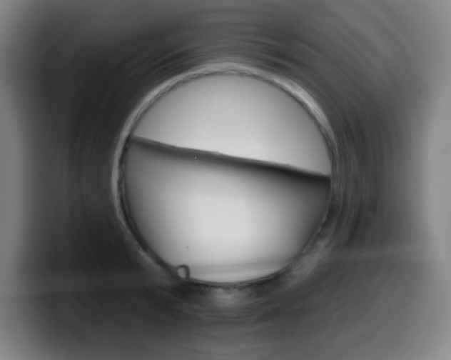 X0000099520799200805151031