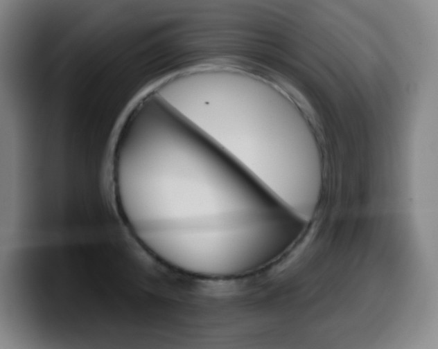 X0000099520800200805151031