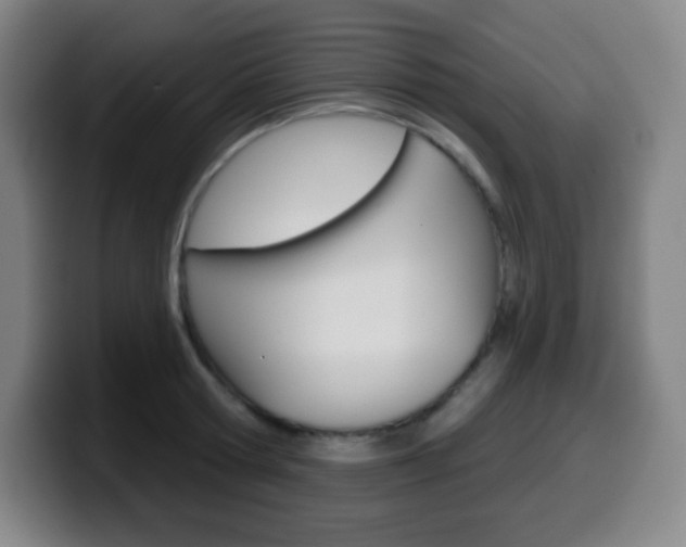 X0000099520802200805151031