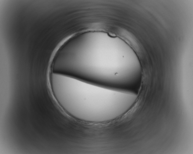 X0000099520804200805151031