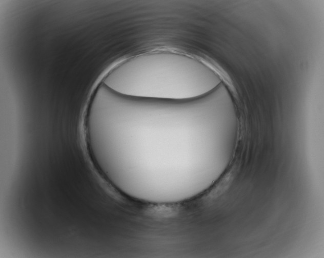X0000099520806200805151031