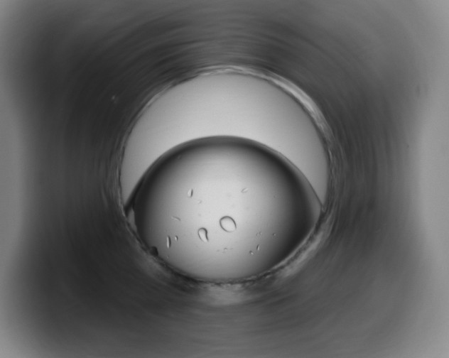 X0000099520809200805151031