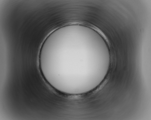 X0000099520810200805151031