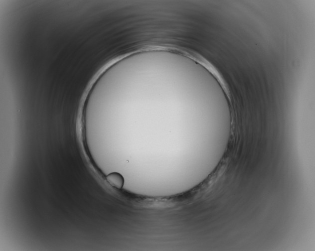 X0000099520811200805151031