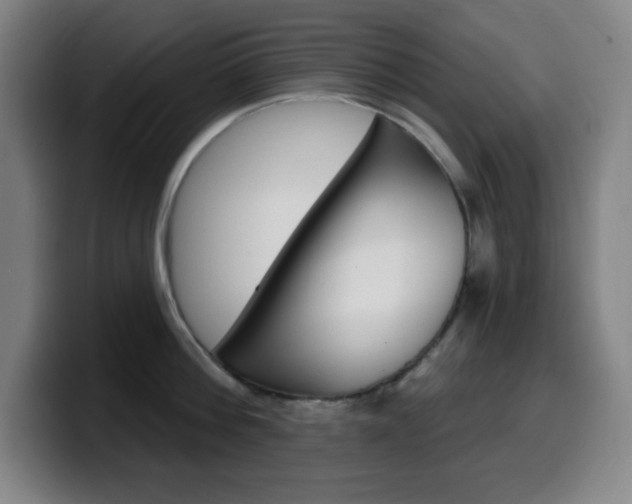 X0000099520812200805151031