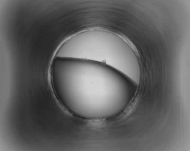 X0000099520813200805151031