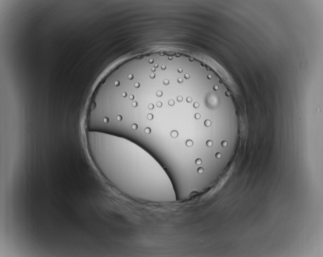 X0000099520814200805151031