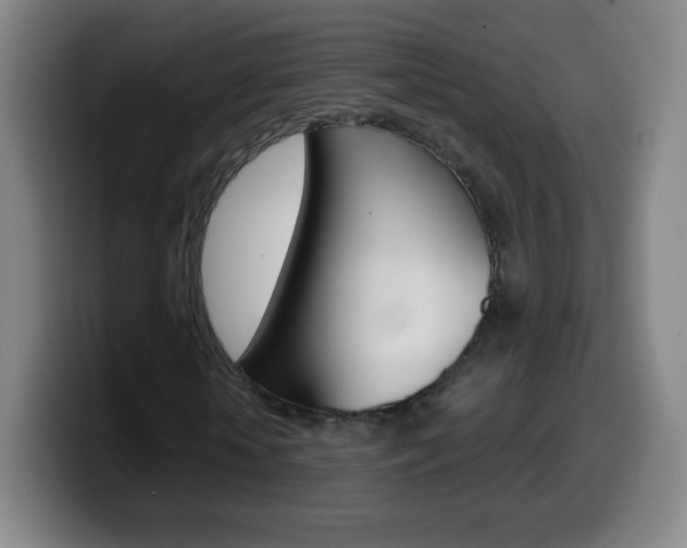 X0000099520818200805151030