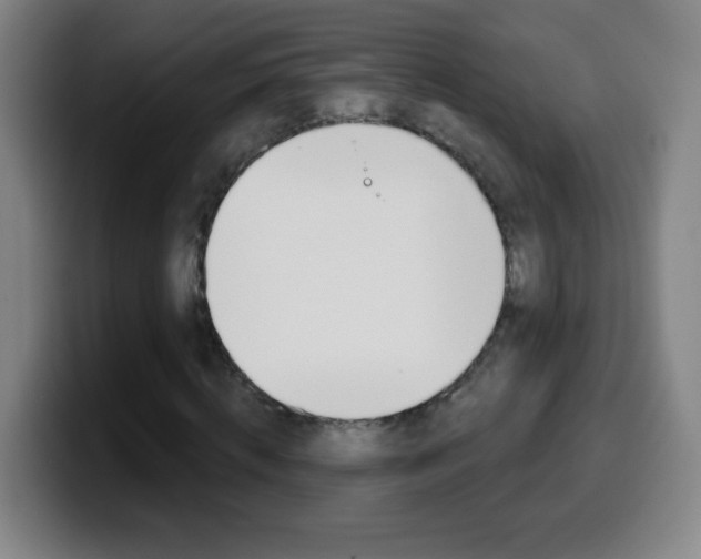X0000099520820200805151030