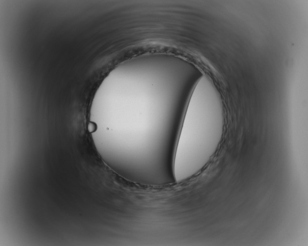 X0000099520821200805151030
