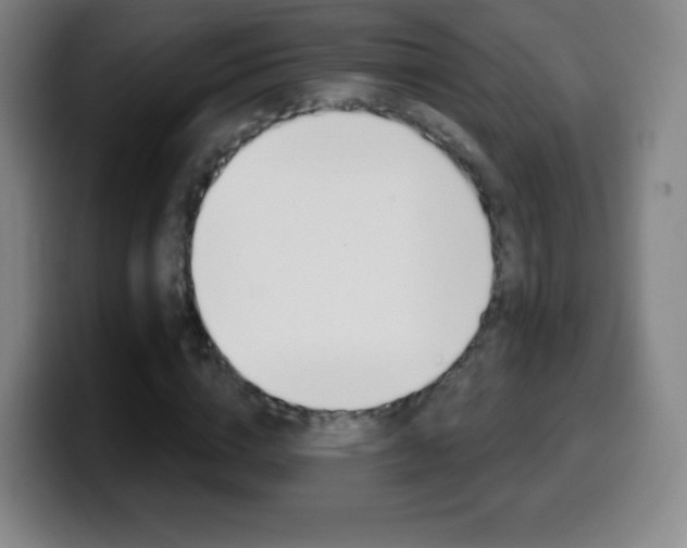 X0000099520824200805151030