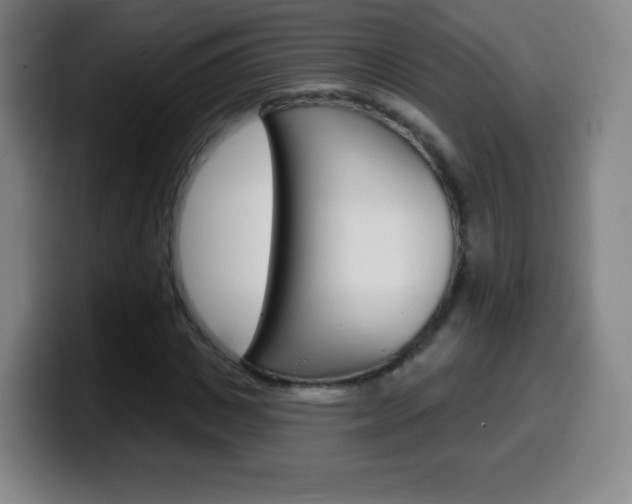 X0000099520825200805151030