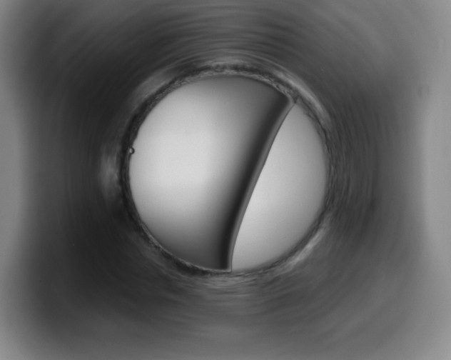 X0000099520826200805151031