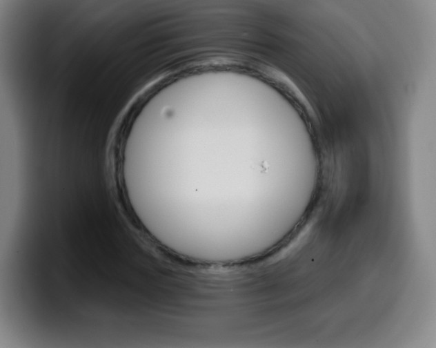 X0000099520827200805151031