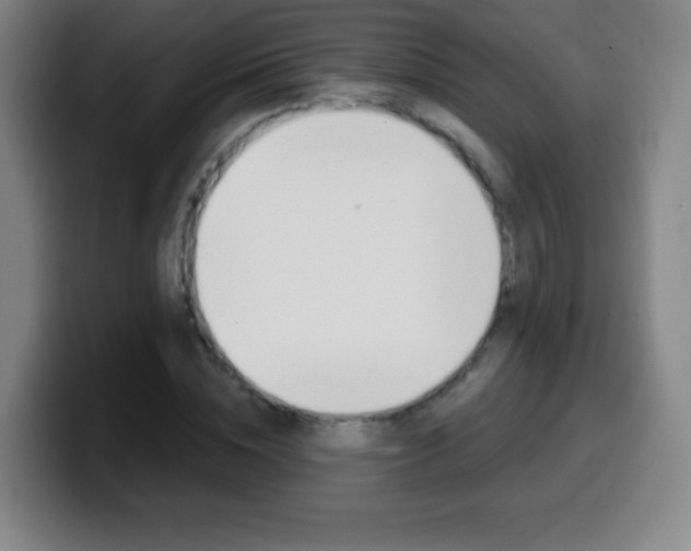 X0000099520828200805151031